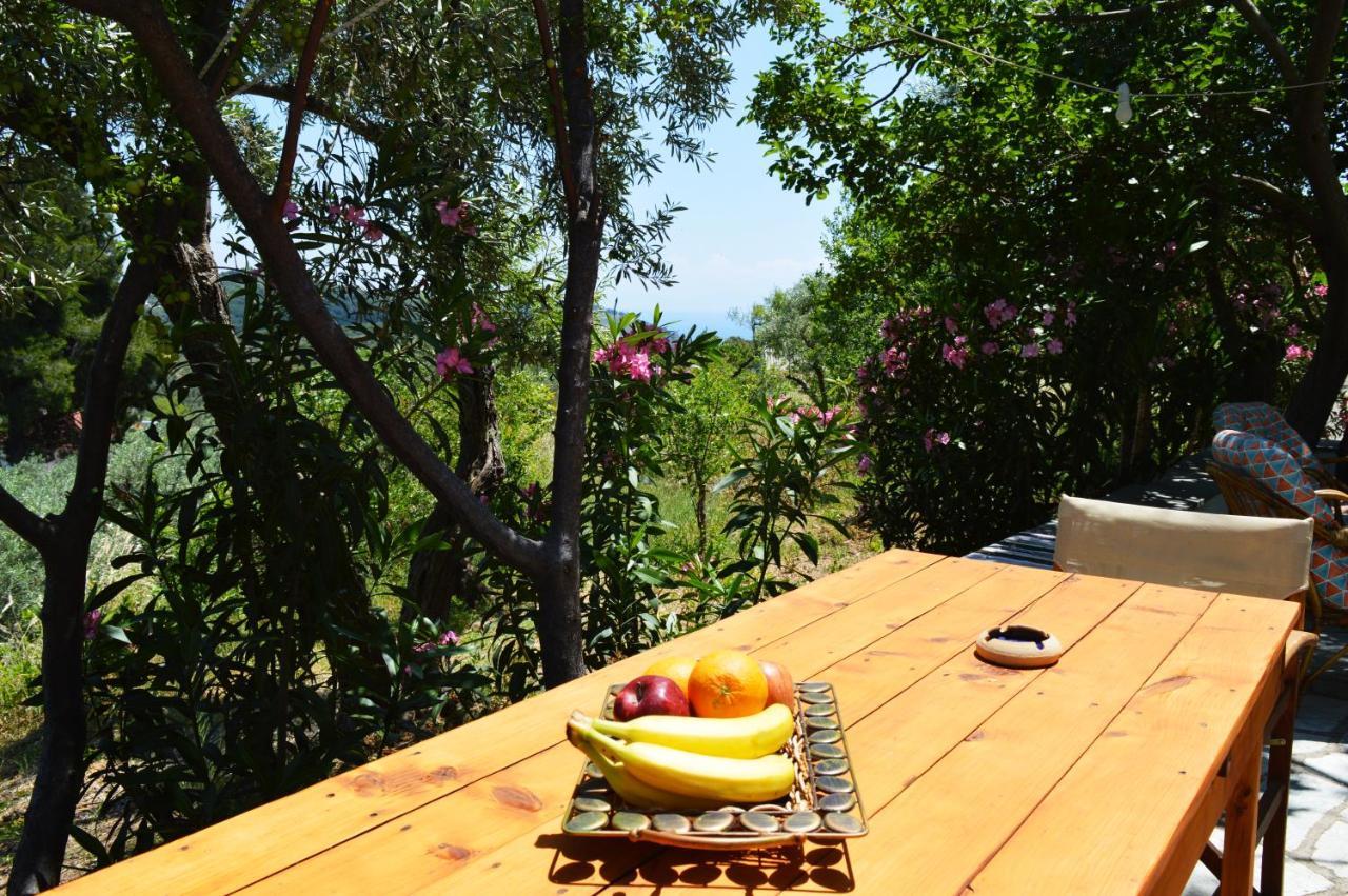 Alikias Country House Panormos  Exterior photo